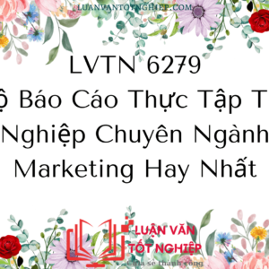 Bộ Báo Cáo Thực Tập Tốt Nghiệp Chuyên Ngành Marketing Hay Nhất - LVTN 6279