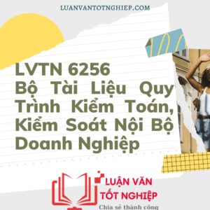 LVTN 6256 - Bộ Tài Liệu Quy Trình Kiểm Toán, Kiểm Soát Nội Bộ Doanh Nghiệp