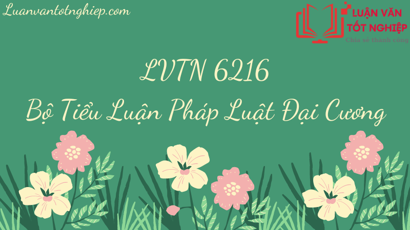 Bộ Tiểu Luận Pháp Luật Đại Cương - LVTN 6216